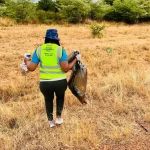 She On Standby img 03